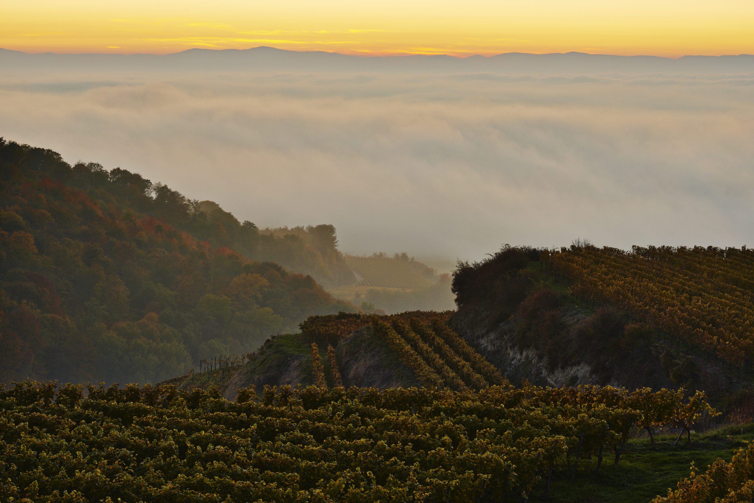 Ruhiger Friedhofsweg mit Licht